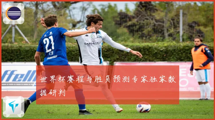 世界杯赛程与胜负预测专家独家数据研判