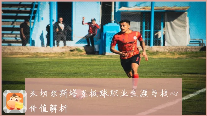 米切尔斯塔克板球职业生涯与核心价值解析