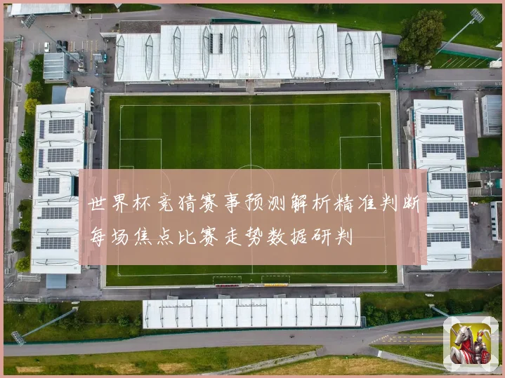世界杯竞猜赛事预测解析精准判断每场焦点比赛走势数据研判