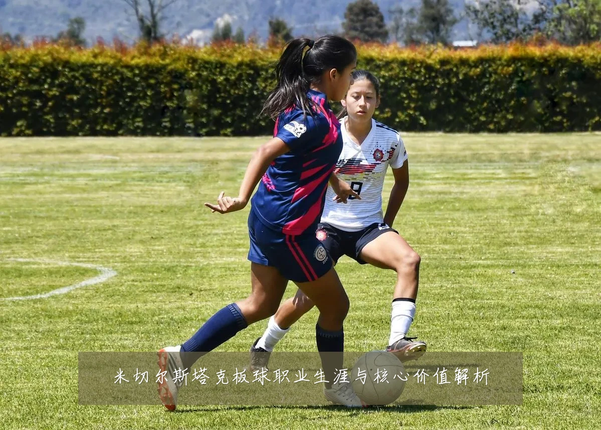 米切尔斯塔克板球职业生涯与核心价值解析