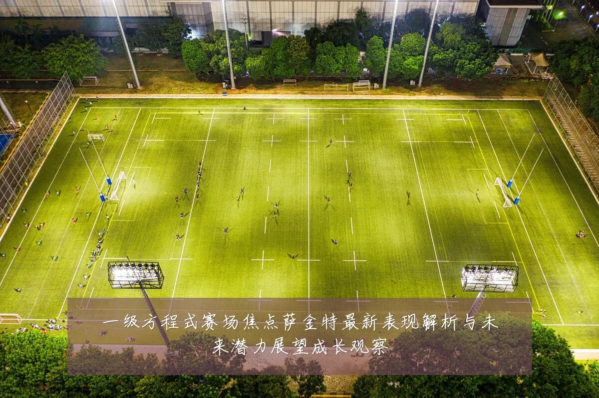 一级方程式赛场焦点萨金特最新表现解析与未来潜力展望成长观察
